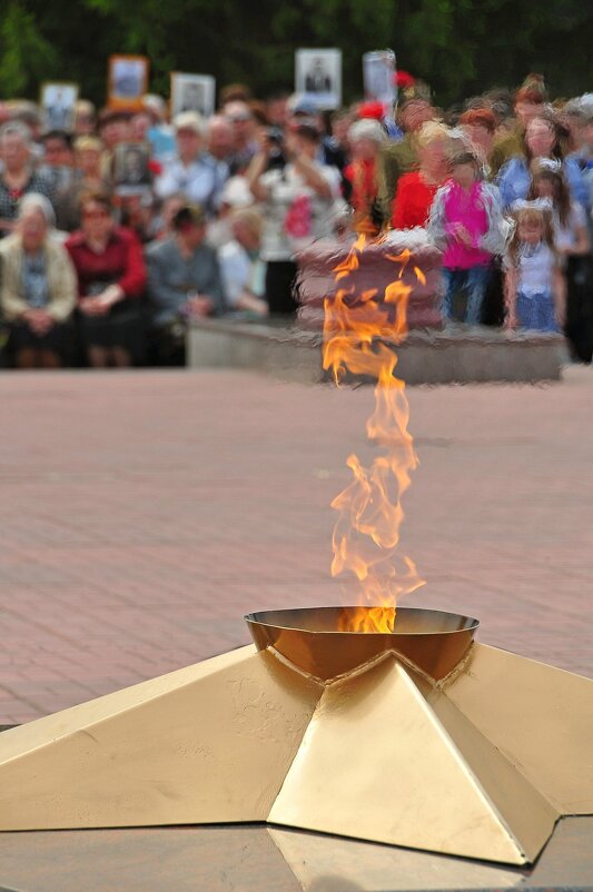 Бессмертный полк - Владимир Зыбин