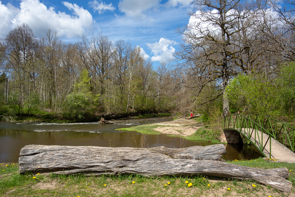 *** - Геннадий Порохов