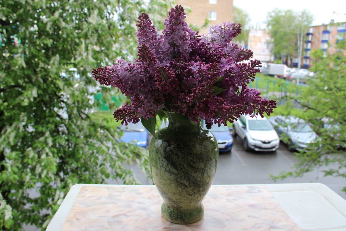 Май. - Венера Чуйкова