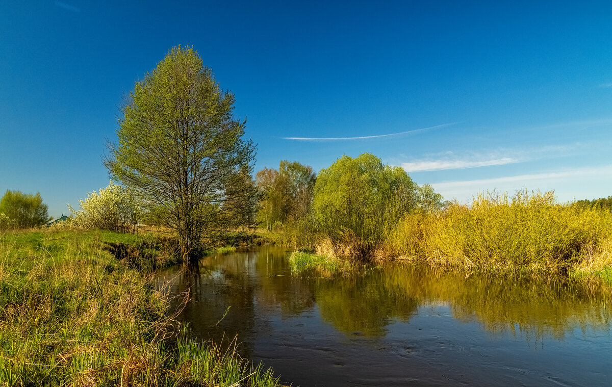 Майское утро - Андрей Дворников