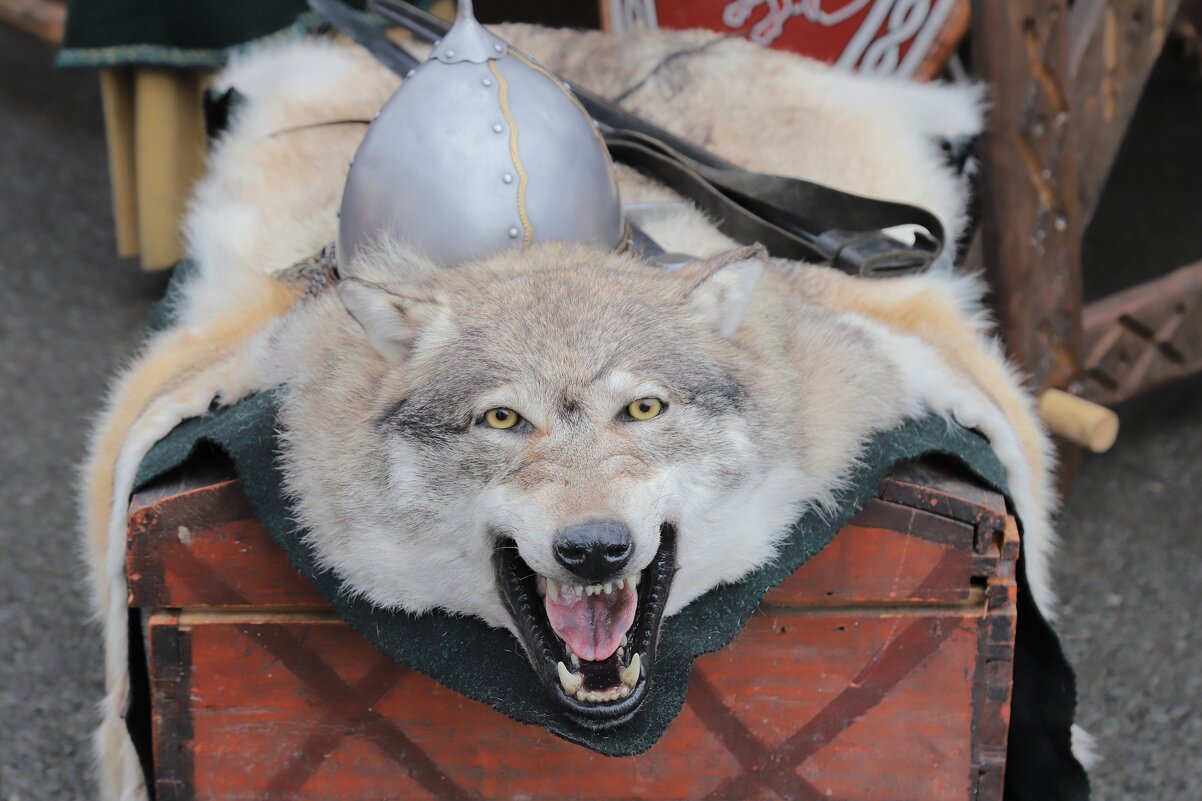 а когда то бегал по лесу. - Владимир иванов