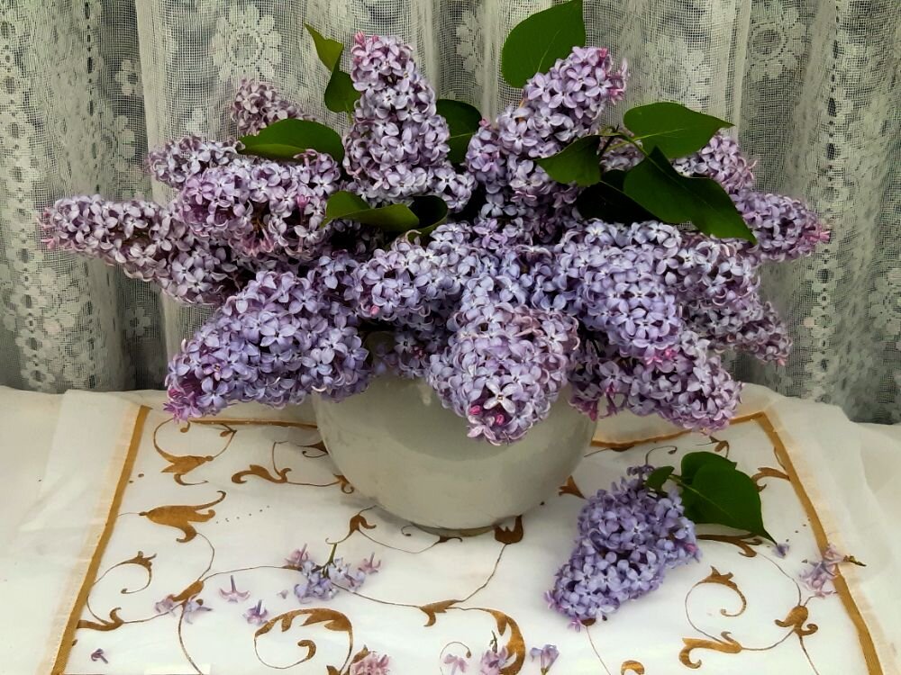 Букет сирени! - Нина Андронова Букет сирени! - Нина Андронова