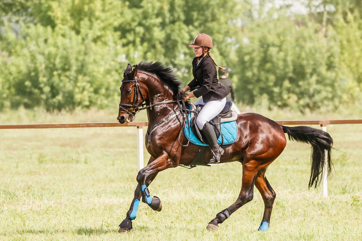 Конкур - SanSan 