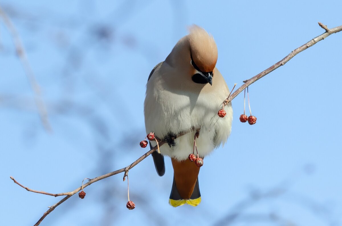 Сложный выбор. - Виктор Иванович Чернюк Сложный выбор. - Виктор Иванович Чернюк
