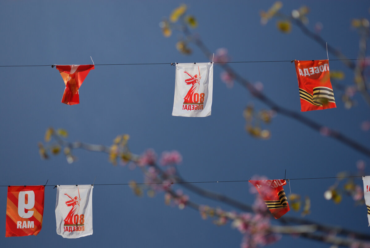 Город украшают к главному празнику - Referee (Дмитрий) Город украшают к главному празнику - Referee (Дмитрий)