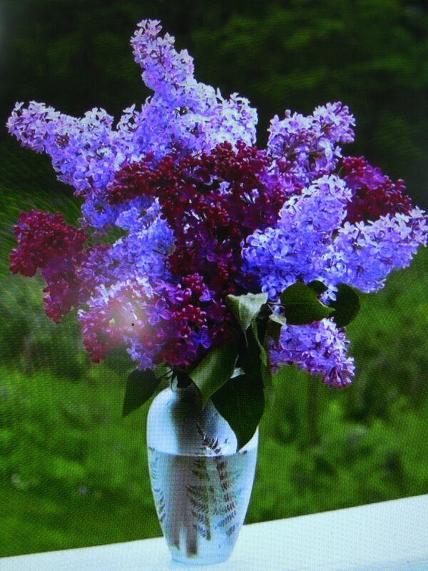 Нежный букет - Людмила Смородинская