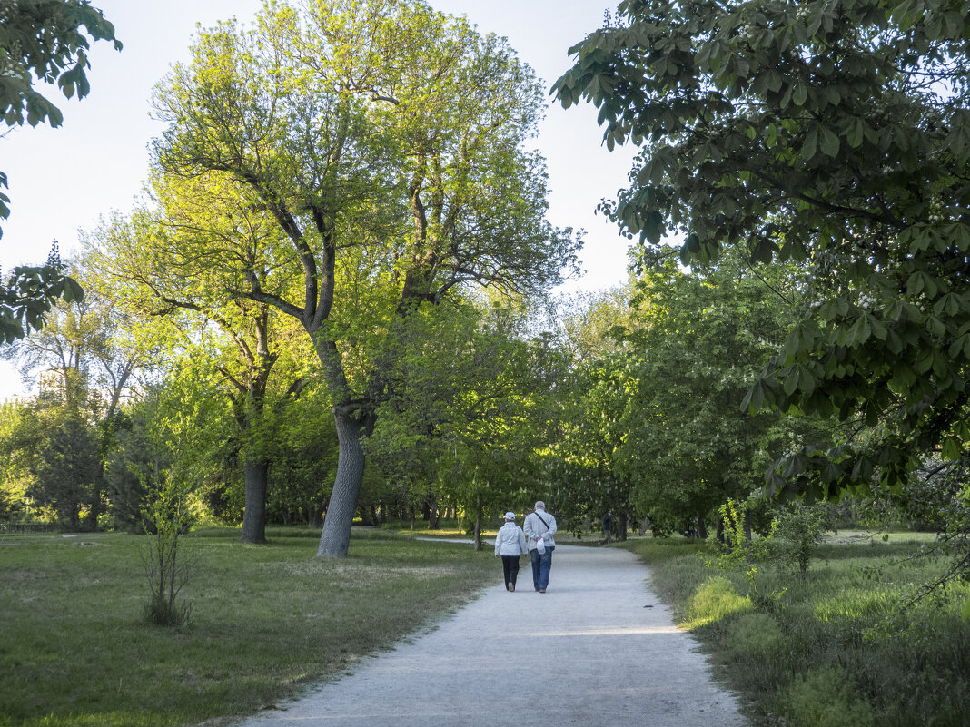 Двое в ботаническом саду - Валентин Семчишин Двое в ботаническом саду - Валентин Семчишин