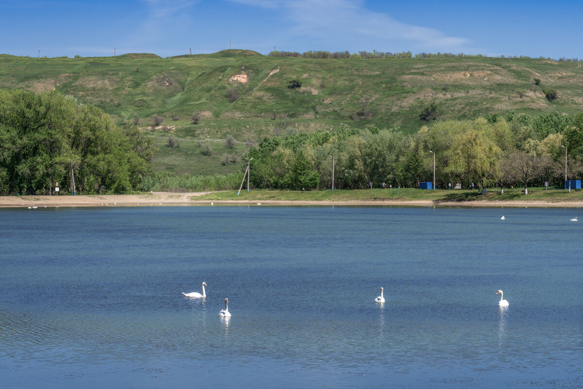Городское водохранилище - Игорь Сикорский Городское водохранилище - Игорь Сикорский