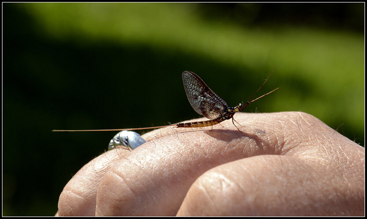 Надо отдохнуть... - Aleksandr Gal Надо отдохнуть... - Aleksandr Gal