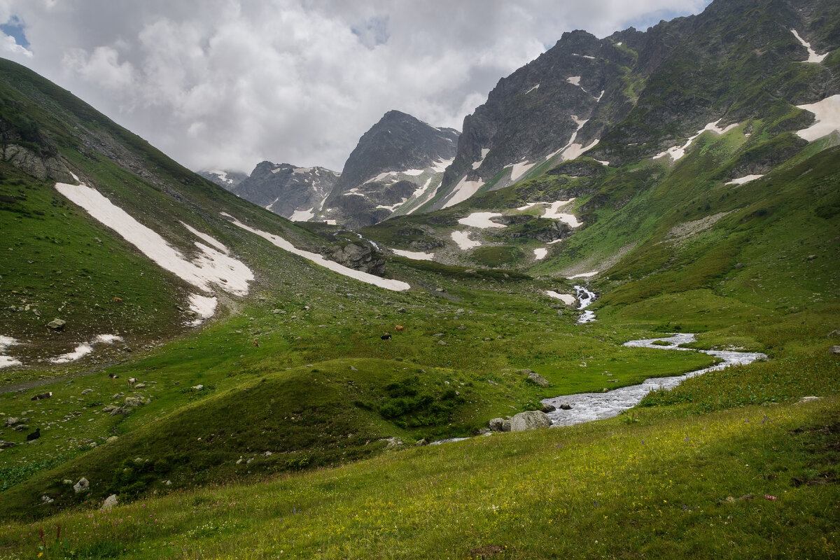 ... - Сергей Лысенко