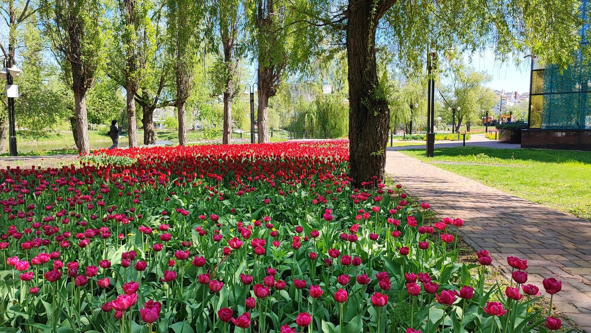 ,,, - Сергей Тимоновский