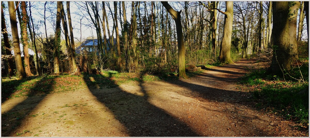 ТЕНИ... - Elvira E. 