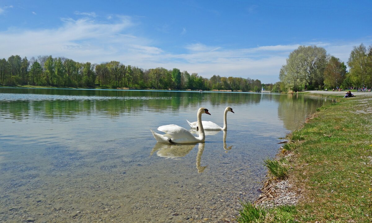 ... - Галина ... - Галина