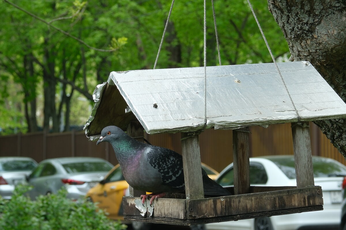 Всё подъели... - Лютый Дровосек