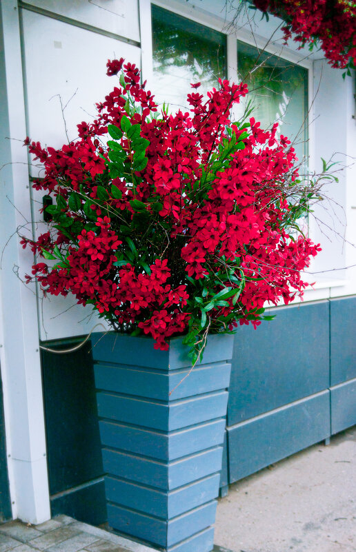 Цветочный магазин - Светлана Мишенёва Цветочный магазин - Светлана Мишенёва