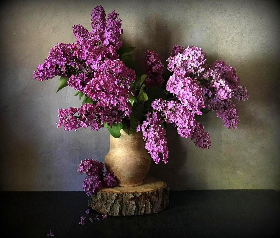 А нам бы цветами любоваться ....! Да Всем Миром в Мире Жить .... ! - TAMARA КАДАНОВА