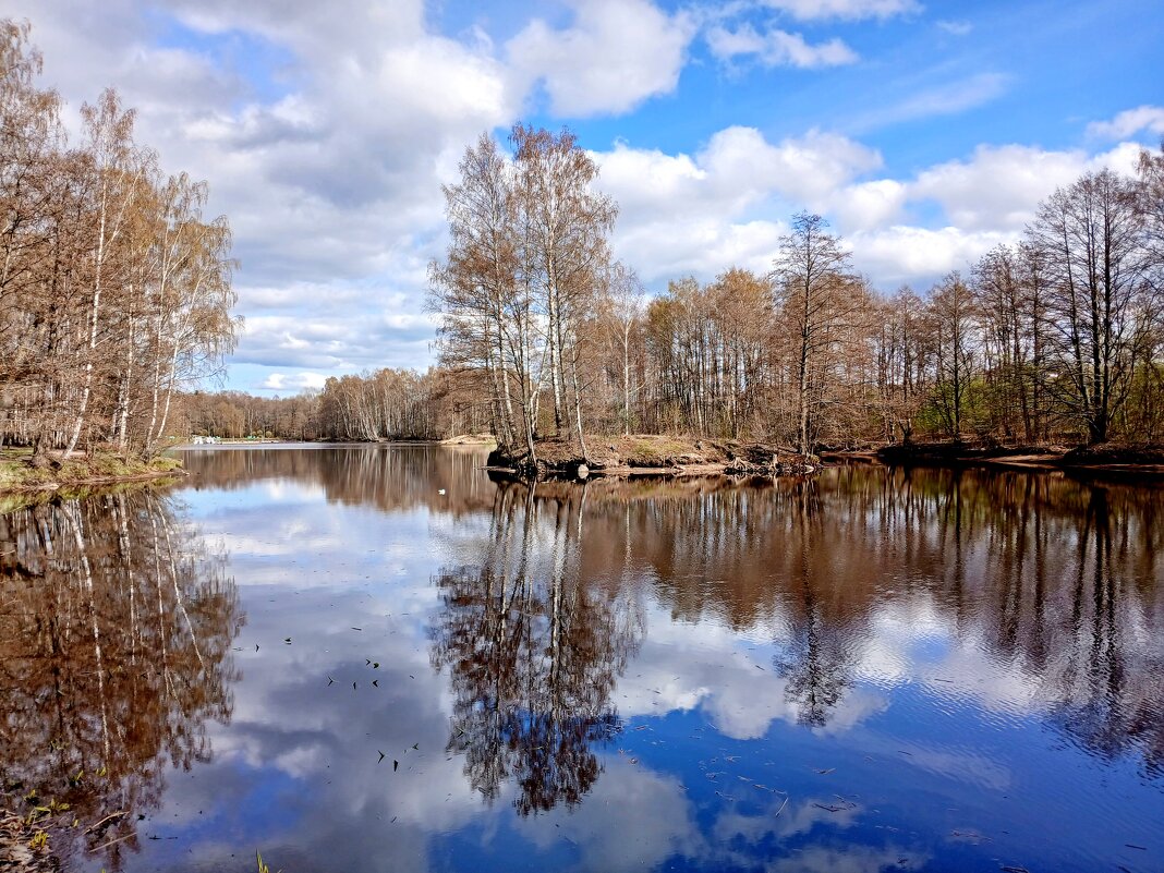 Апрельские пейзажи. - Лия ☼