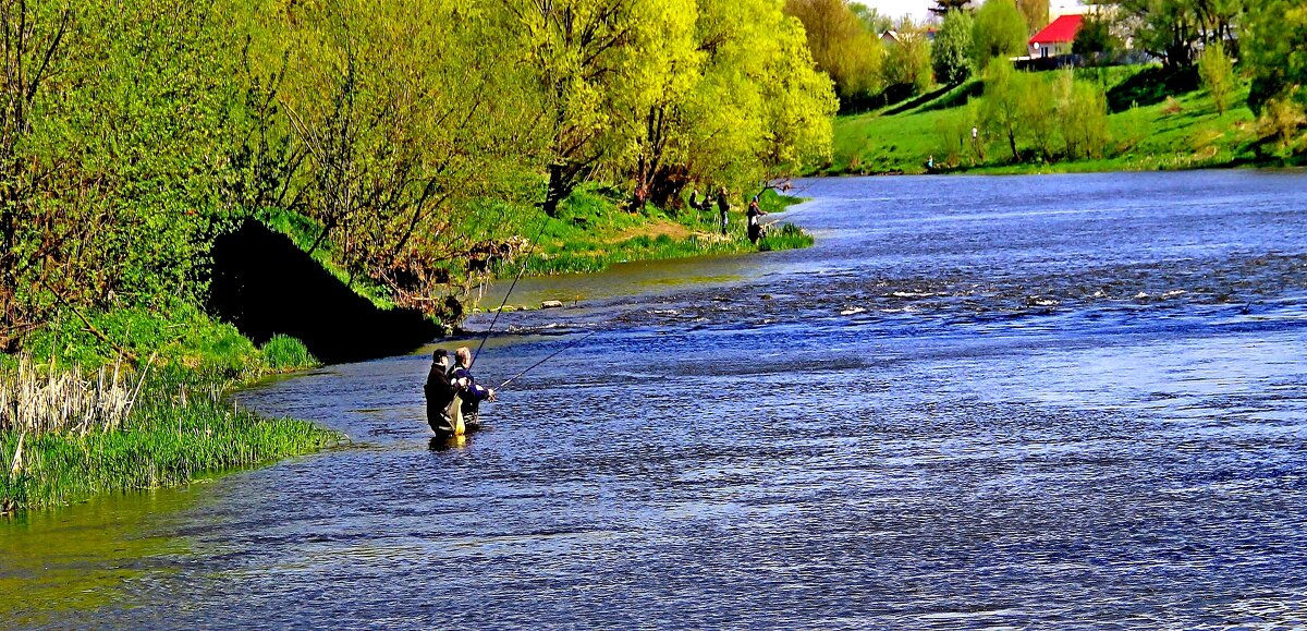 Рыбаки на реке Зуша. - Борис Митрохин Рыбаки на реке Зуша. - Борис Митрохин