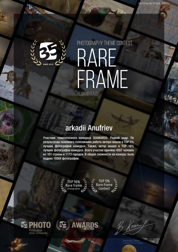 Итоги 2024 - arkadii 