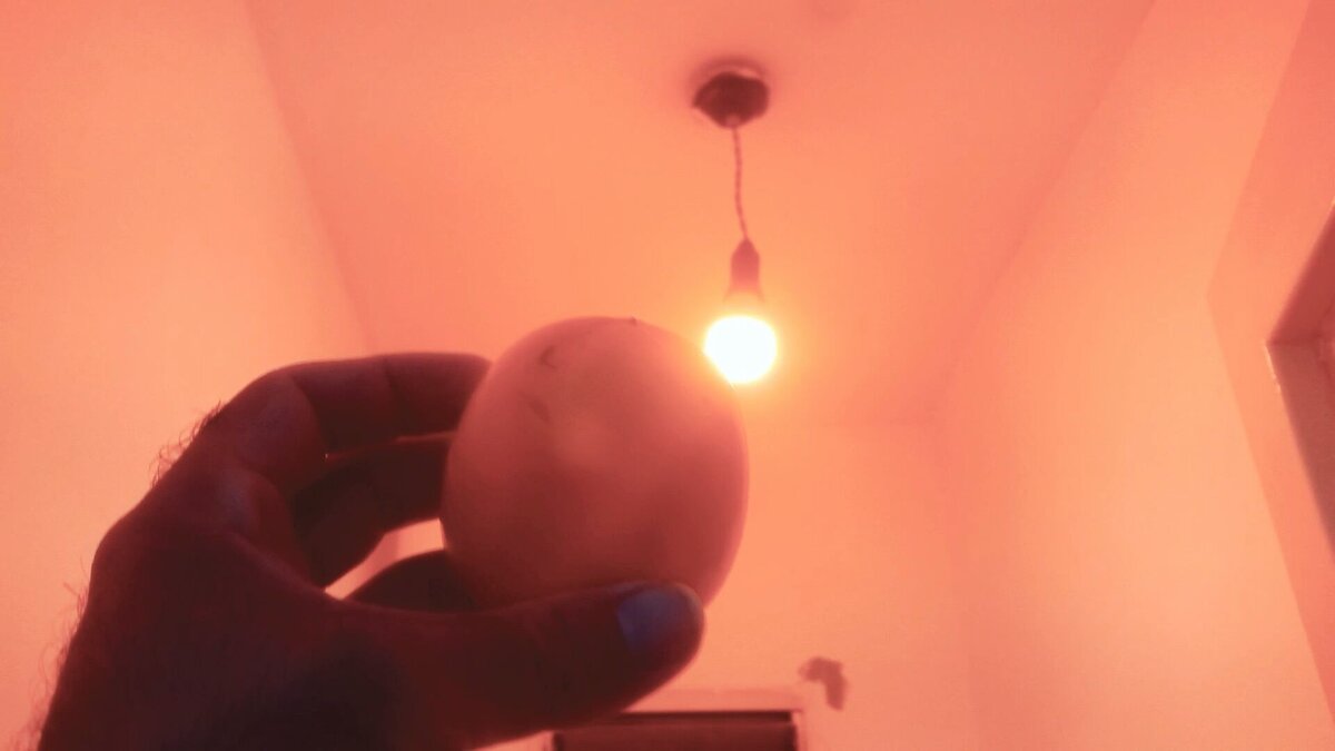 111 (81) - СТРЕН 