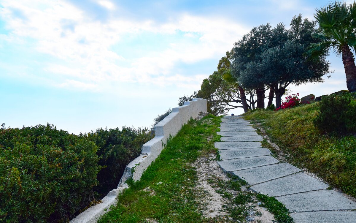 Дорожка - Oleg4618 Шутченко Дорожка - Oleg4618 Шутченко