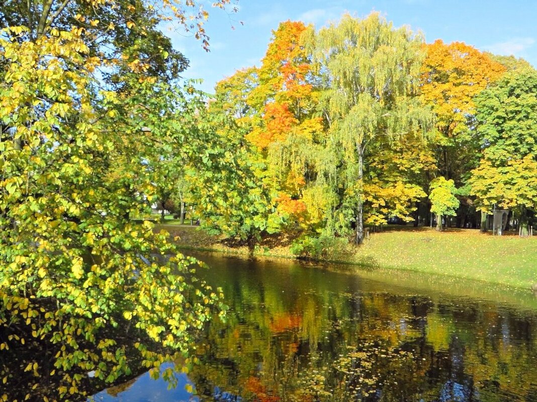 отдых - марта Камушкина отдых - марта Камушкина