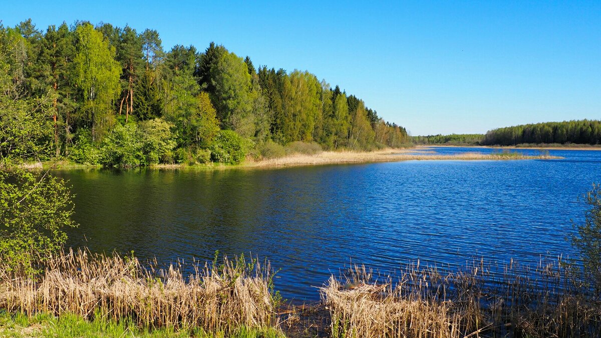 Озёра Смоленщины - Милешкин Владимир Алексеевич 
