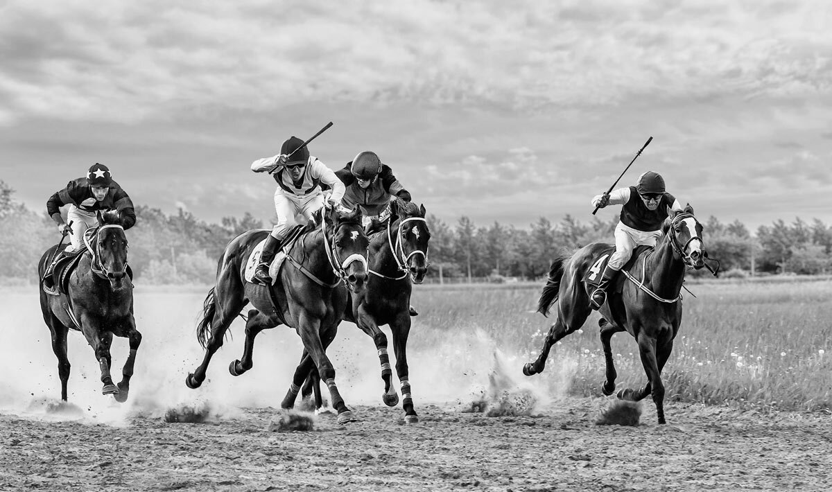 Скачки - SanSan 