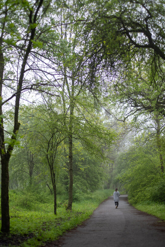 Прогулки в любую погоду... - Referee (Дмитрий)