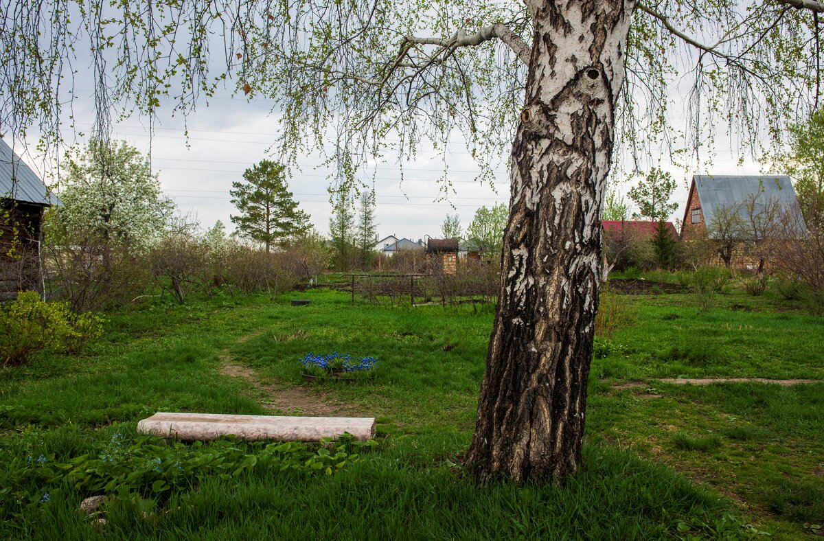 На прогулке - Петр 