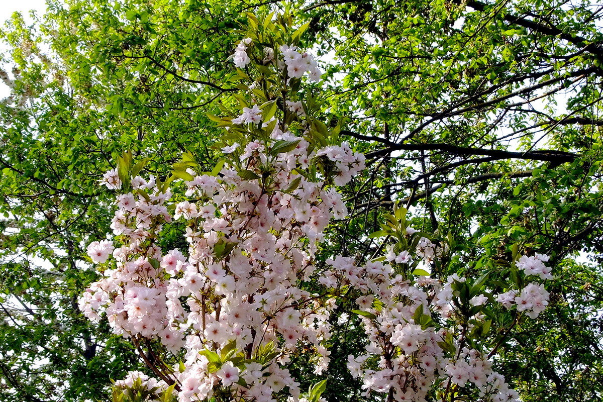 (°♤°) - Фёдор Меркурьев (°♤°) - Фёдор Меркурьев