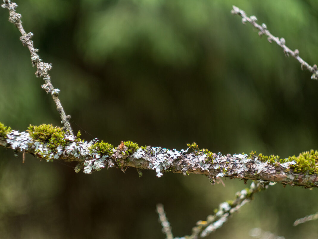 ___ - Yuriy V ___ - Yuriy V