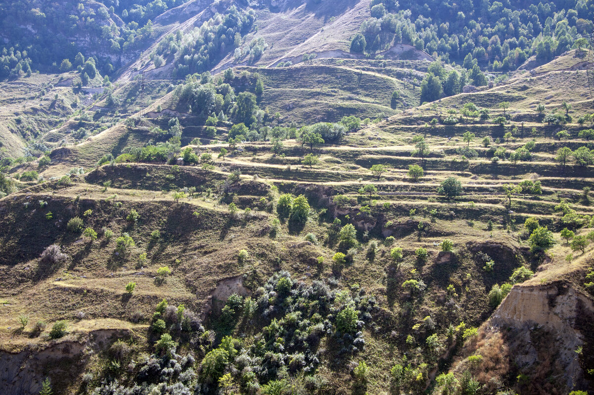 Дагестан. Рукотворные горные террасы - Gen Дагестан. Рукотворные горные террасы - Gen
