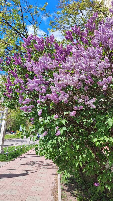 ,,, - Сергей Тимоновский ,,, - Сергей Тимоновский