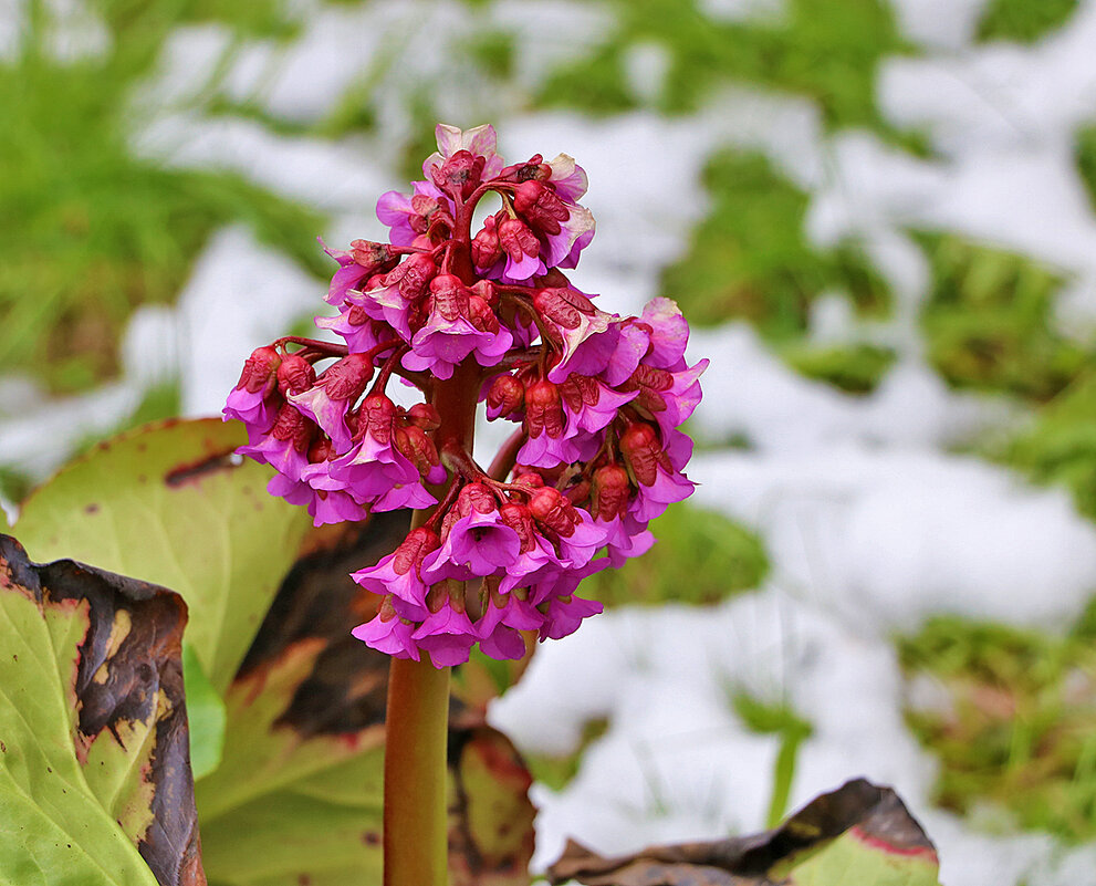 2 мая - Светлана 