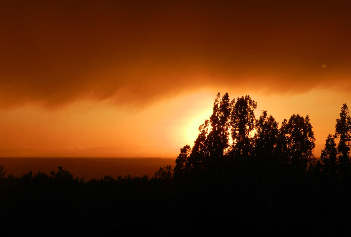 закатное - Лера 