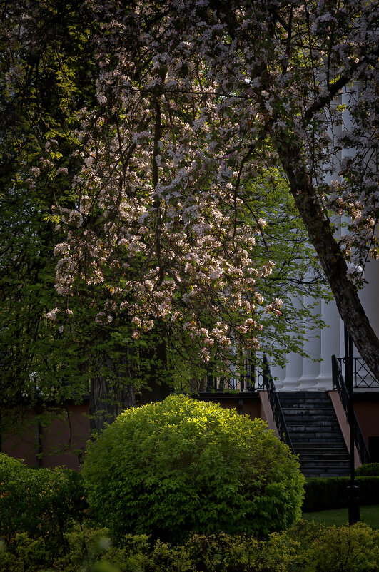 Вечерний парковый этюд - Евгений Лимонтов Вечерний парковый этюд - Евгений Лимонтов