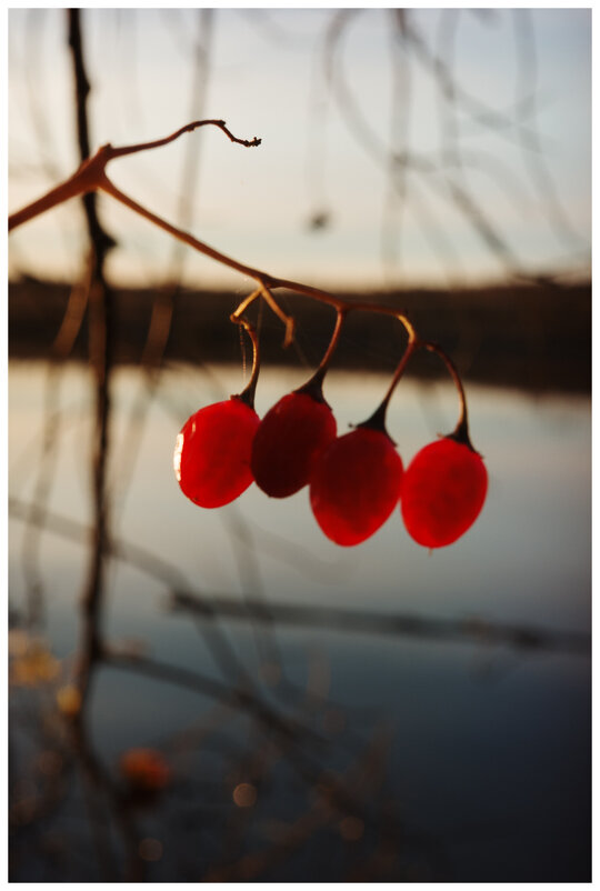 *** - someone somewere