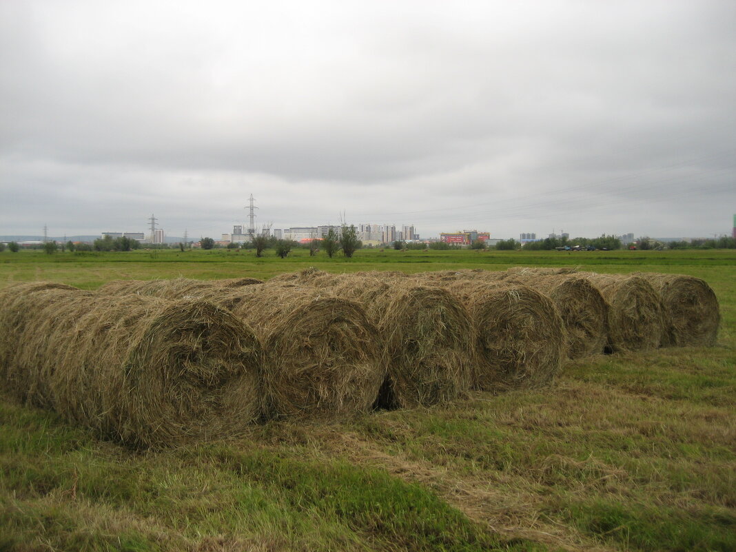 Сенокос - Anna Ivanova