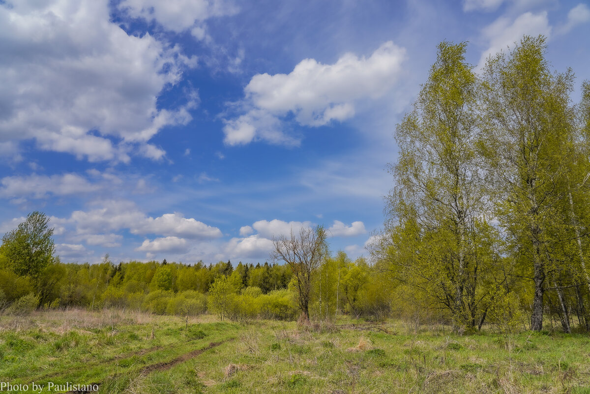 В поле... - Владимир Жданов В поле... - Владимир Жданов