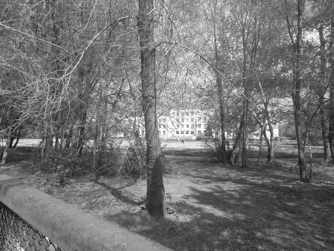 Школа и первый мой класс. - Игорь Солдаткин