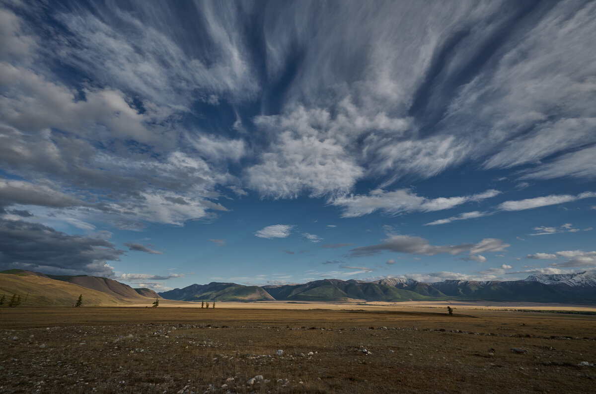 * - Александр Иванов * - Александр Иванов