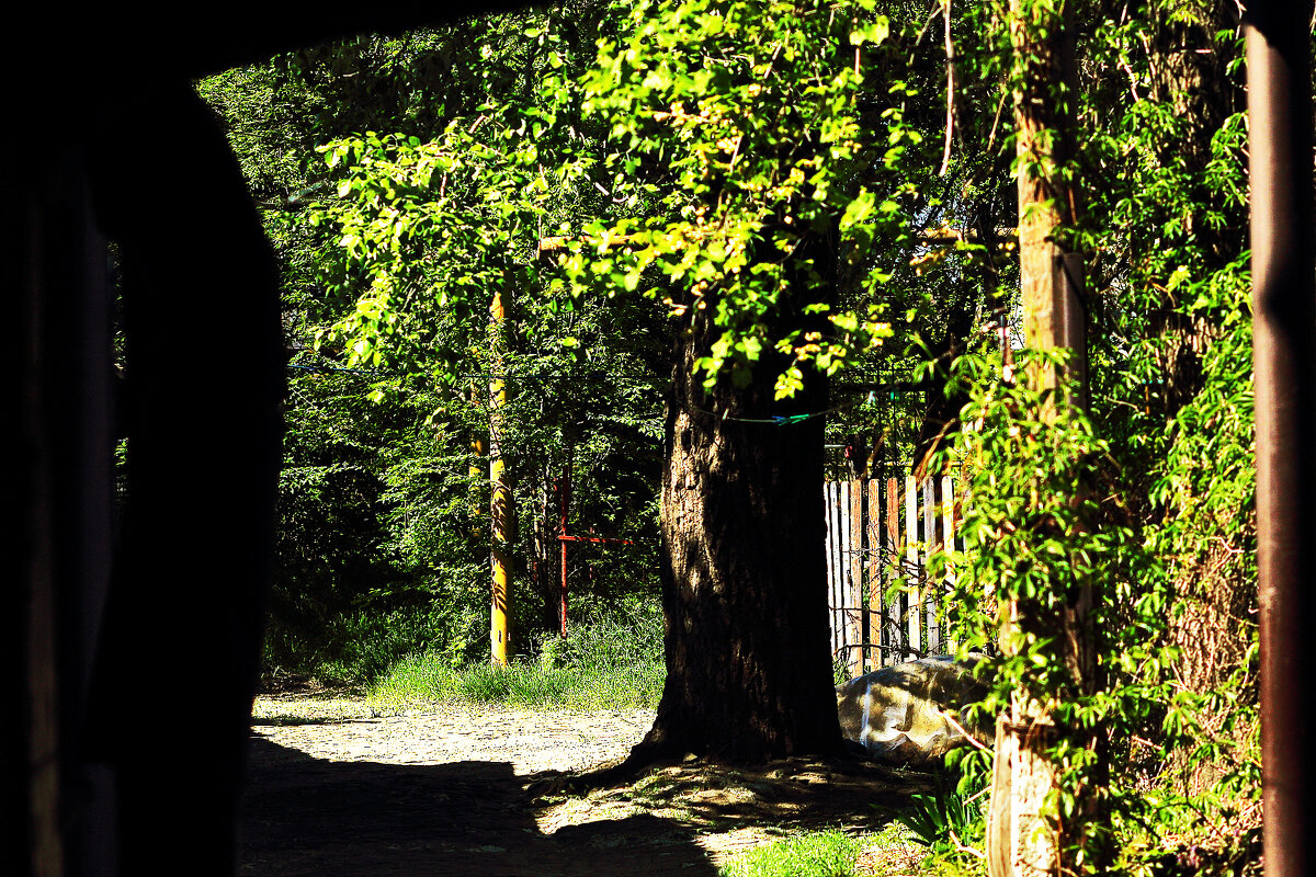 Старый двор - Юрий Гайворонскiий Старый двор - Юрий Гайворонскiий