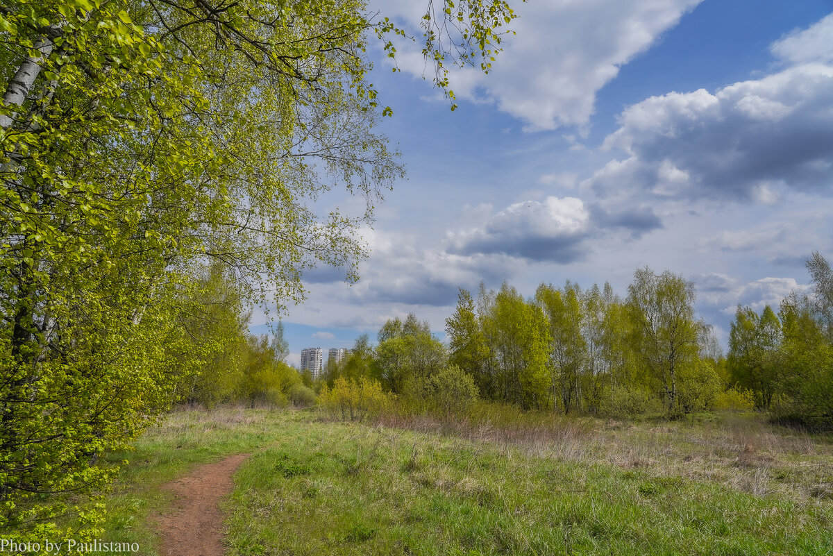 На опушке... - Владимир Жданов