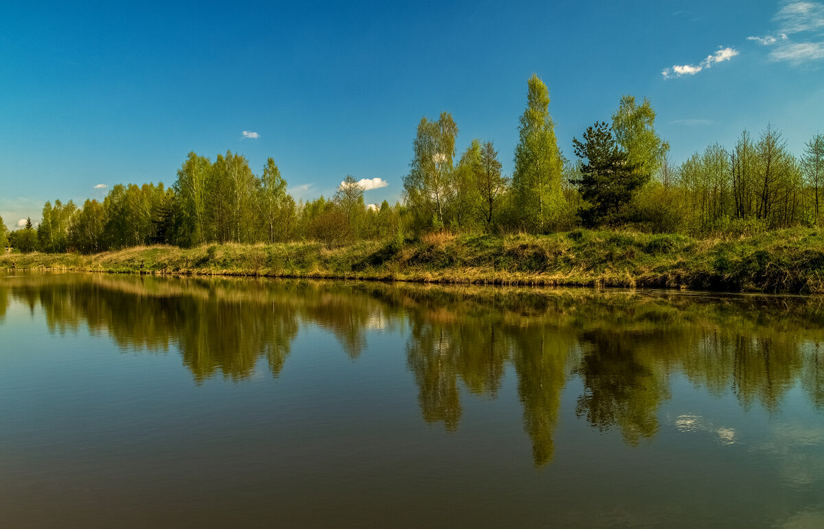 Майское утро IV - Андрей Дворников