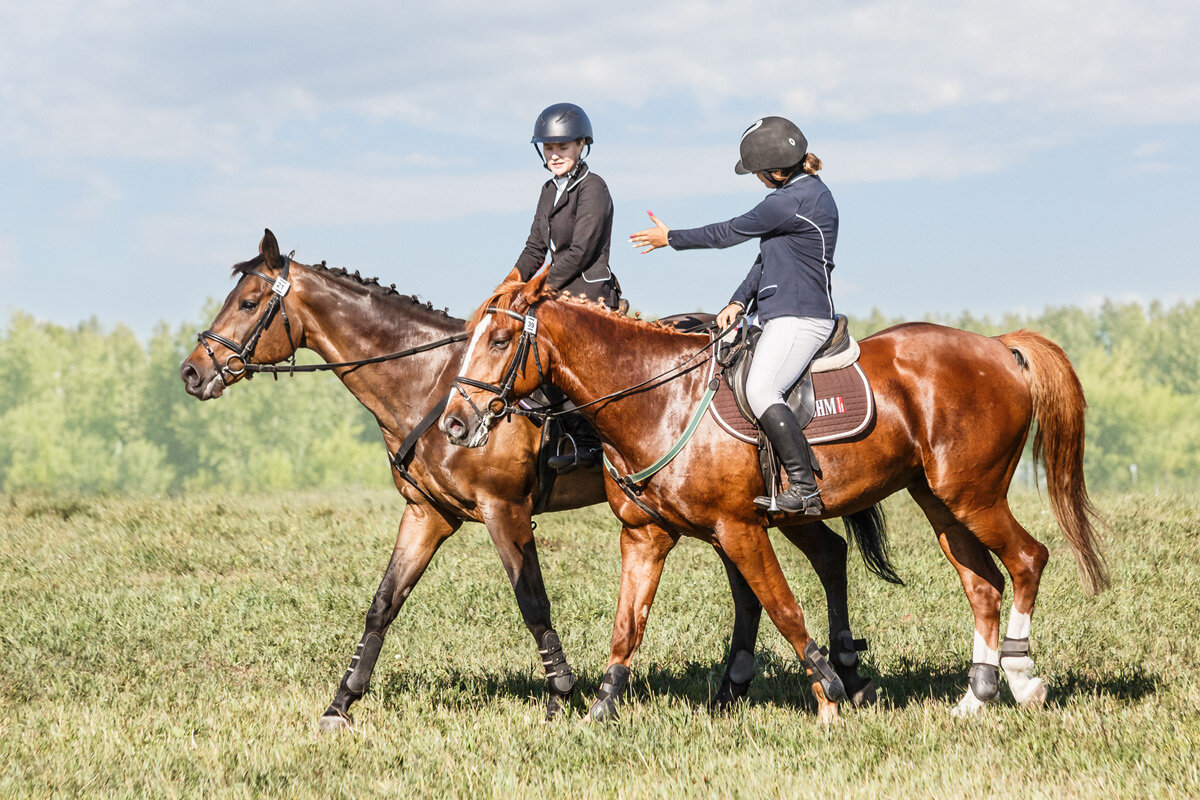 Всадницы - SanSan 