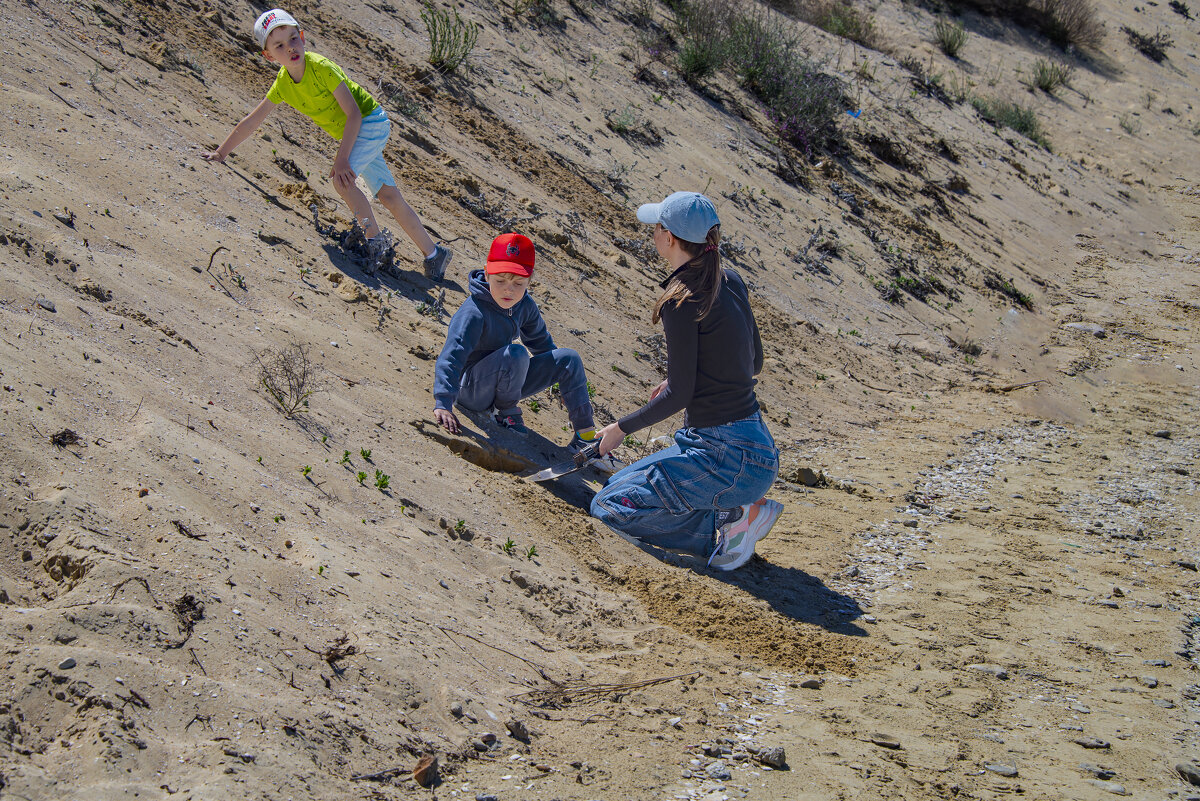 Детские забавы - Анатолий Чикчирный