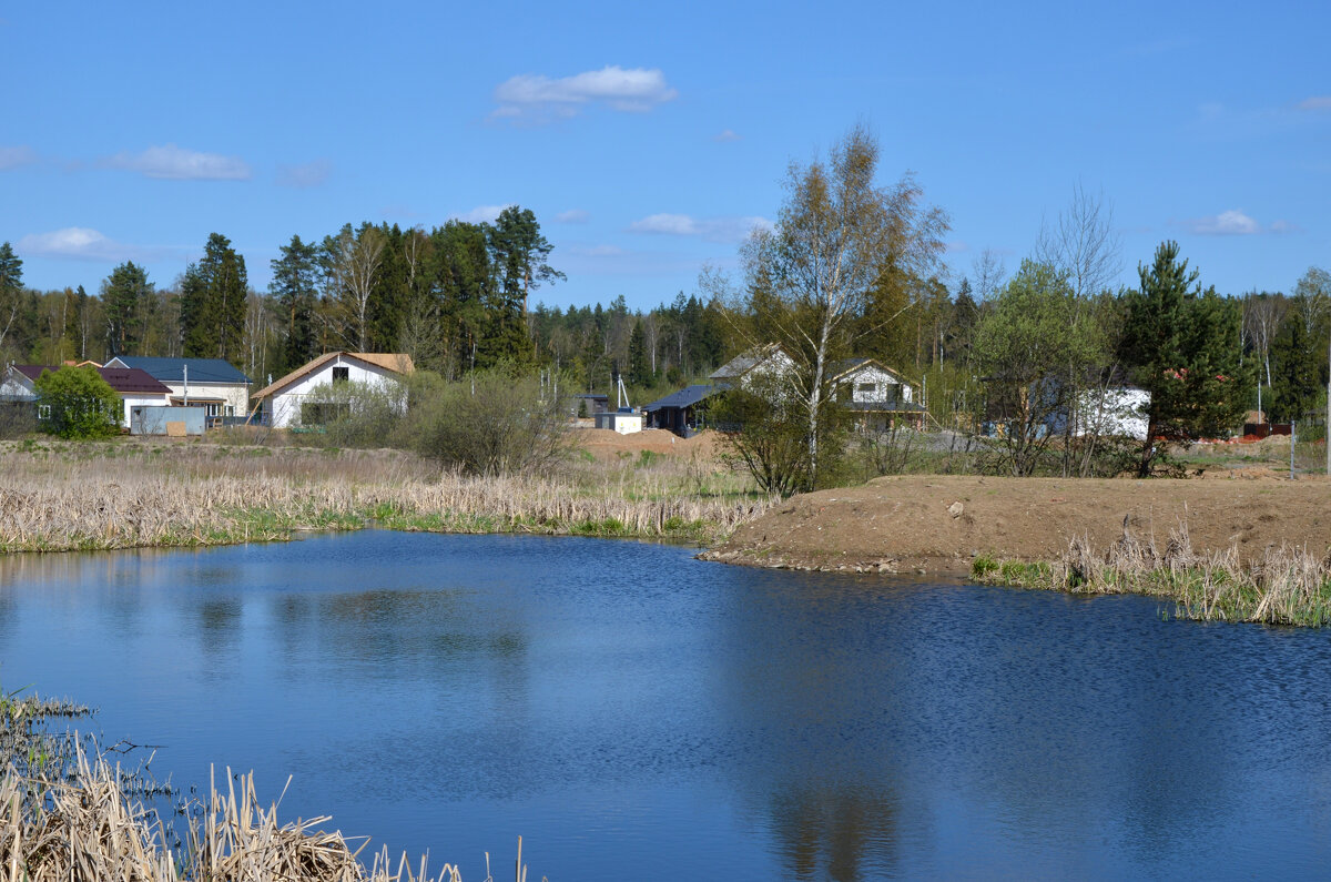 Московская область. г. Пушкино. Осетровая ферма. - Наташа ***** Московская область. г. Пушкино. Осетровая ферма. - Наташа *****