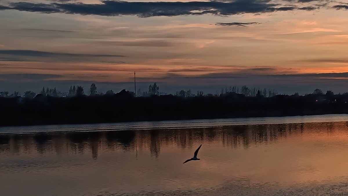 Вечер - Андрей 