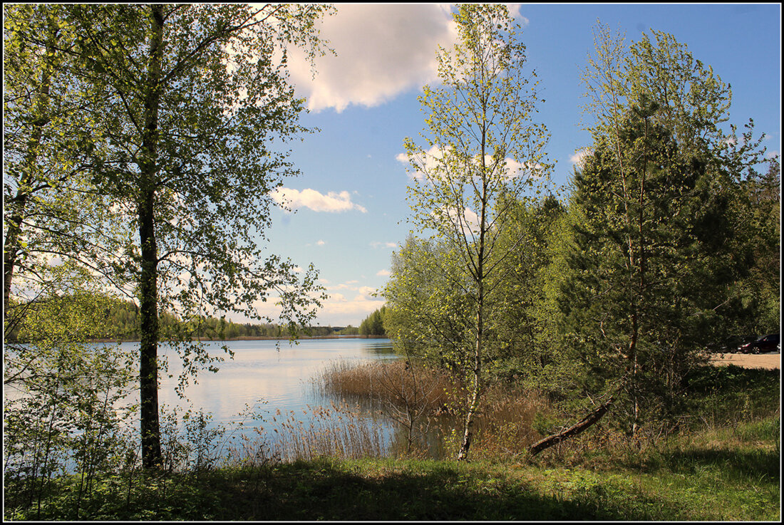 Настал месяц Май... - Aleksandr Gal